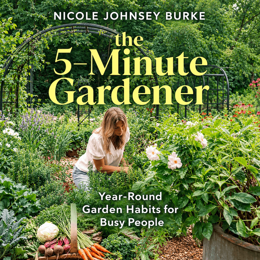 The 5-Minute Gardener by Nicole Johnsey Burke