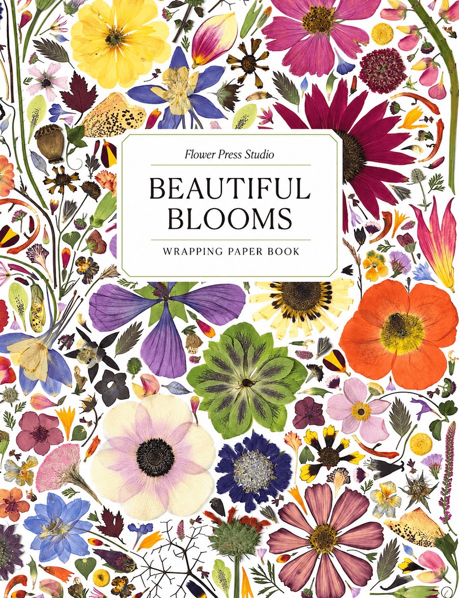 Beautiful Blooms Wrapping Paper Book by Rachel Parri and Keith Kralik