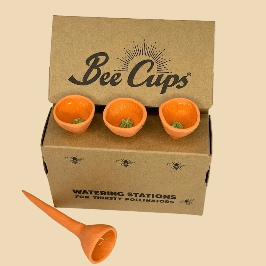 Orange Bee Cups Pumpkin Patch pollinator watering stations with green centers
