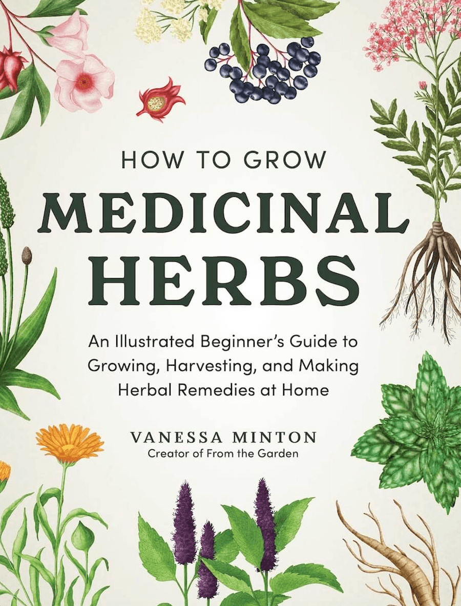 How to Grow Medicinal Herbs by Vanessa Minton
