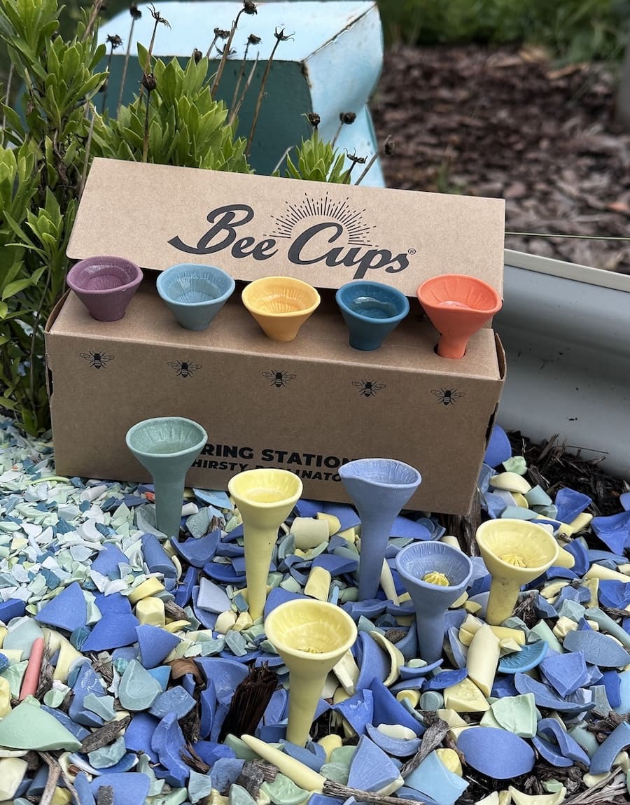 Watering stations for pollinators