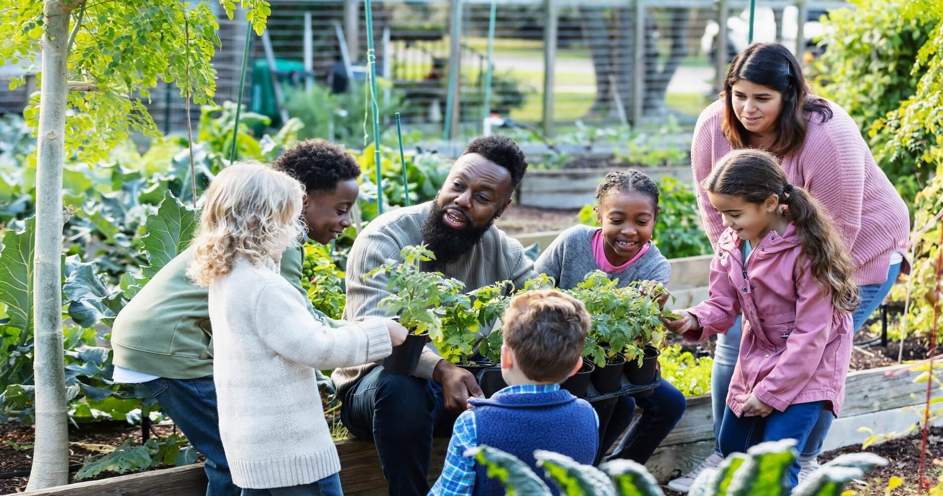 gardening for everyone, how kids, seniors, and beginners can grow together