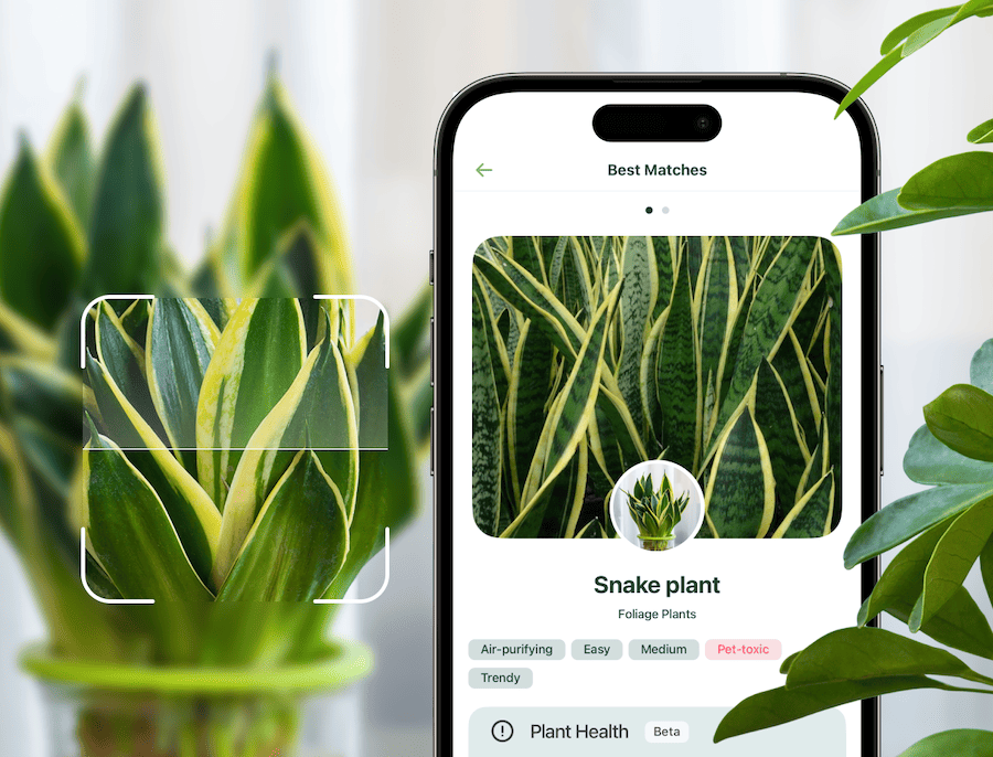 PCheck how healthy your plants are with your phone