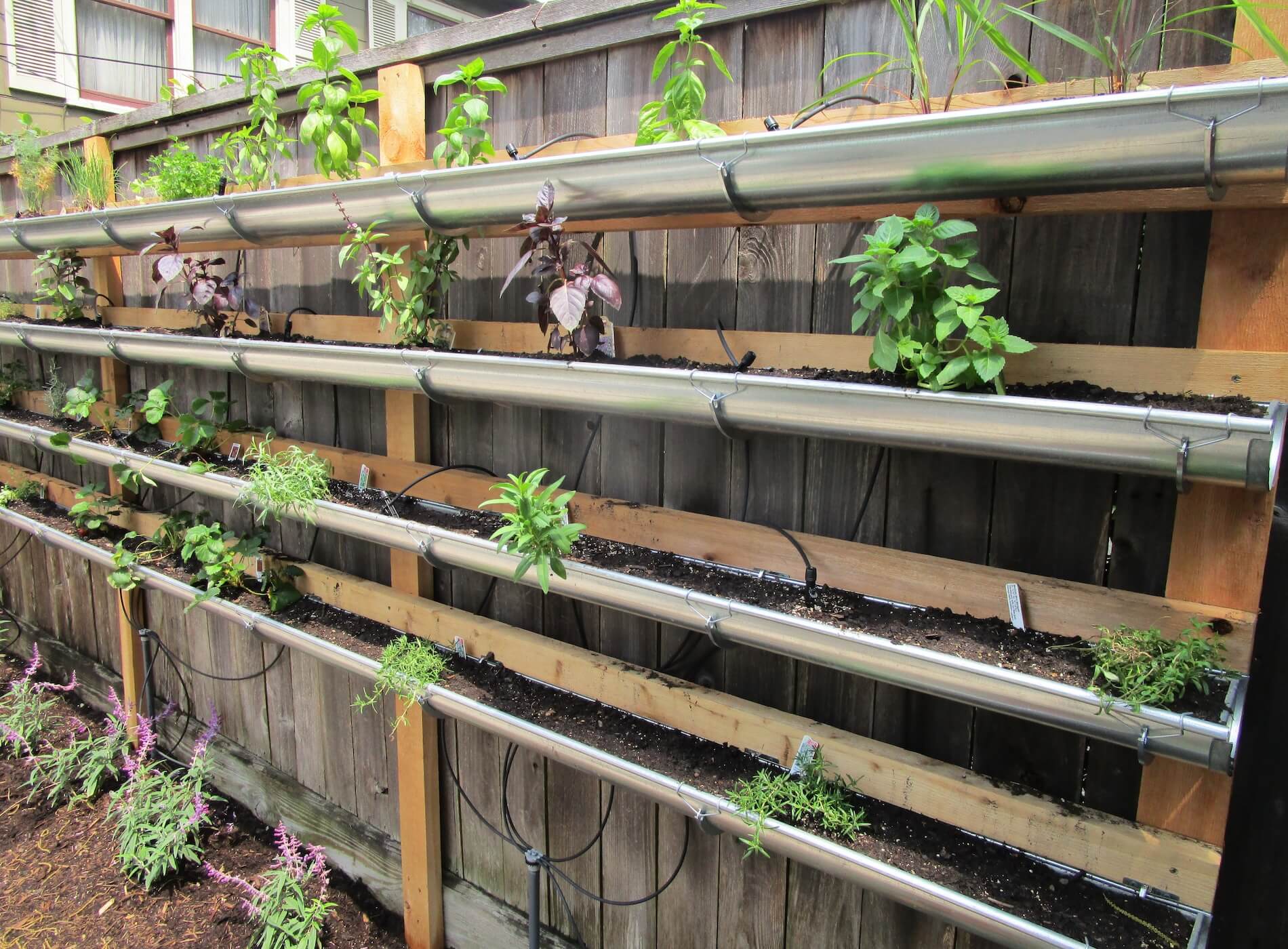 long narrow raised garden concept for strawberries flowers peas beans and trailing plants